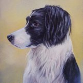 Missy commission in Chalk pastel (from owner's photos)- sold