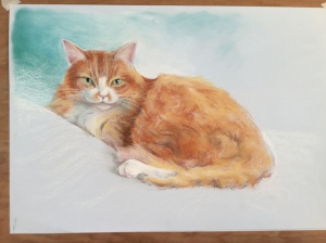 A demonstration piece, sketched in pencil from my photo of Angel, traced down onto powder blue can ford paper (smooth) using burnt sienna pastel. Painted in soft chalk pastel with details in pastel pencil and using a battery eraser. 