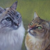 Pablo and Lilly - pastel on paper (Commission from owner's photos- SOLD)